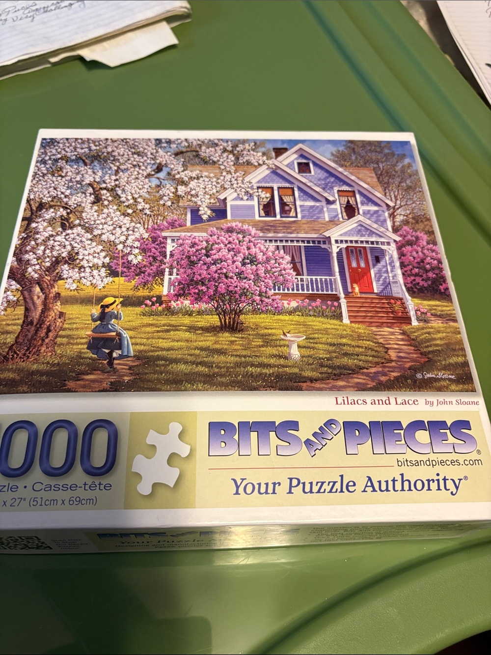 1000 Pieces 2 missing😢